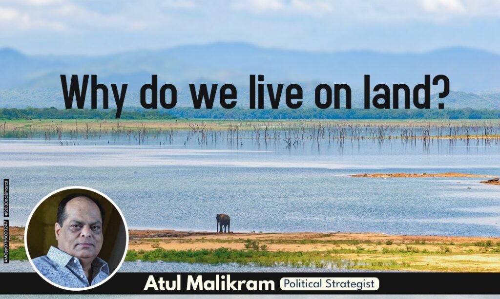 Life On Land