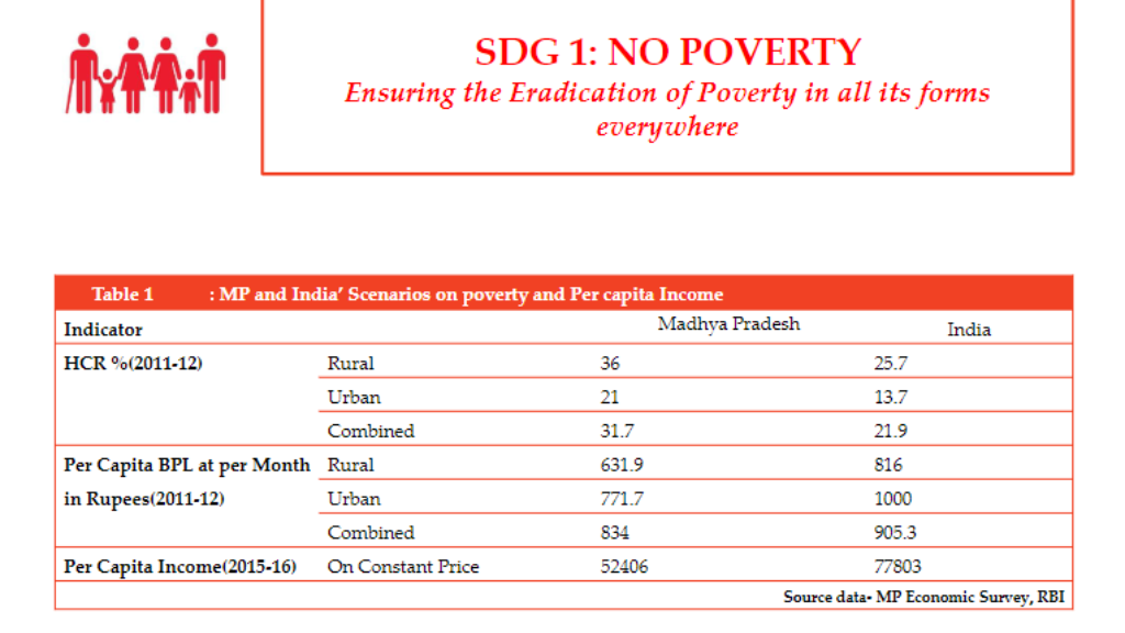 Sustainable Development India Report