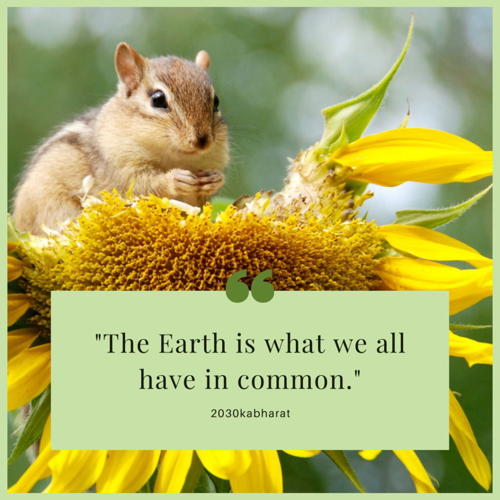 Sustainable Development