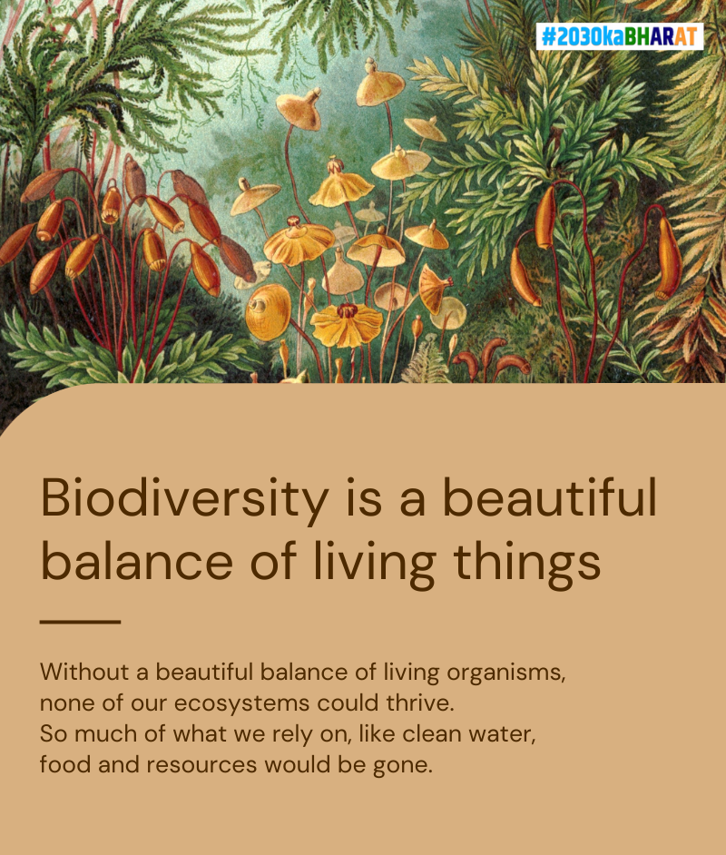 Sustainable Development