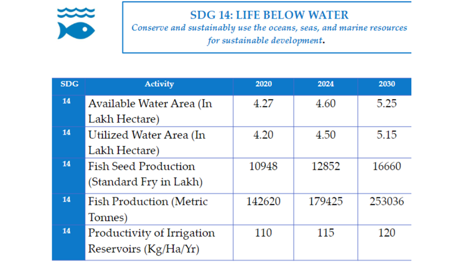 Sustainable Development India Report