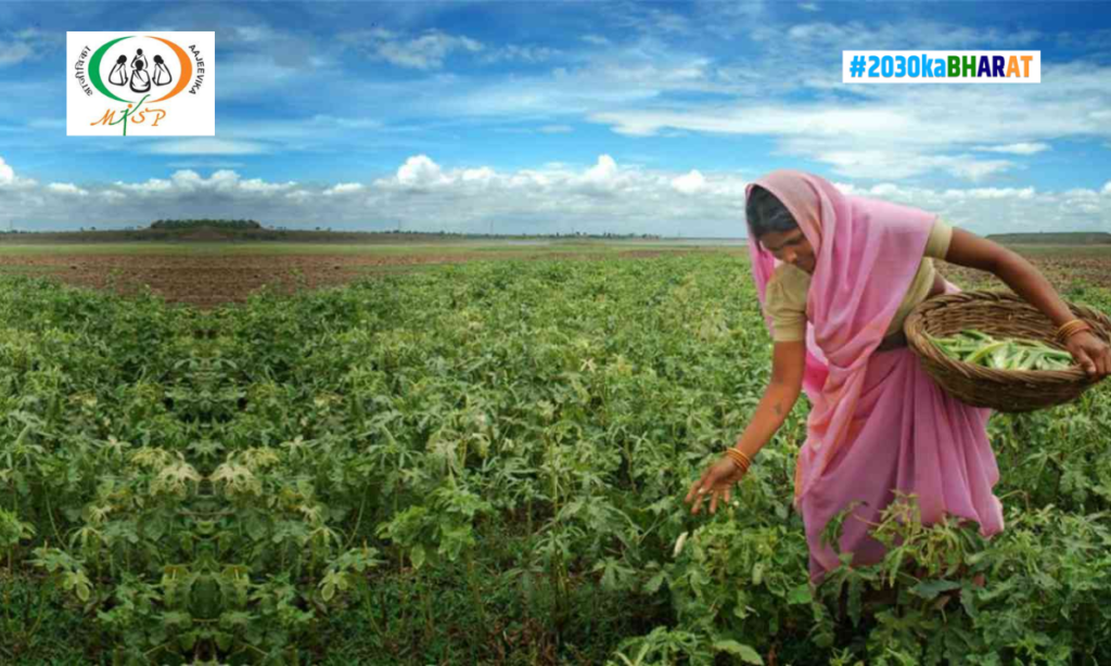 Zero Hunger